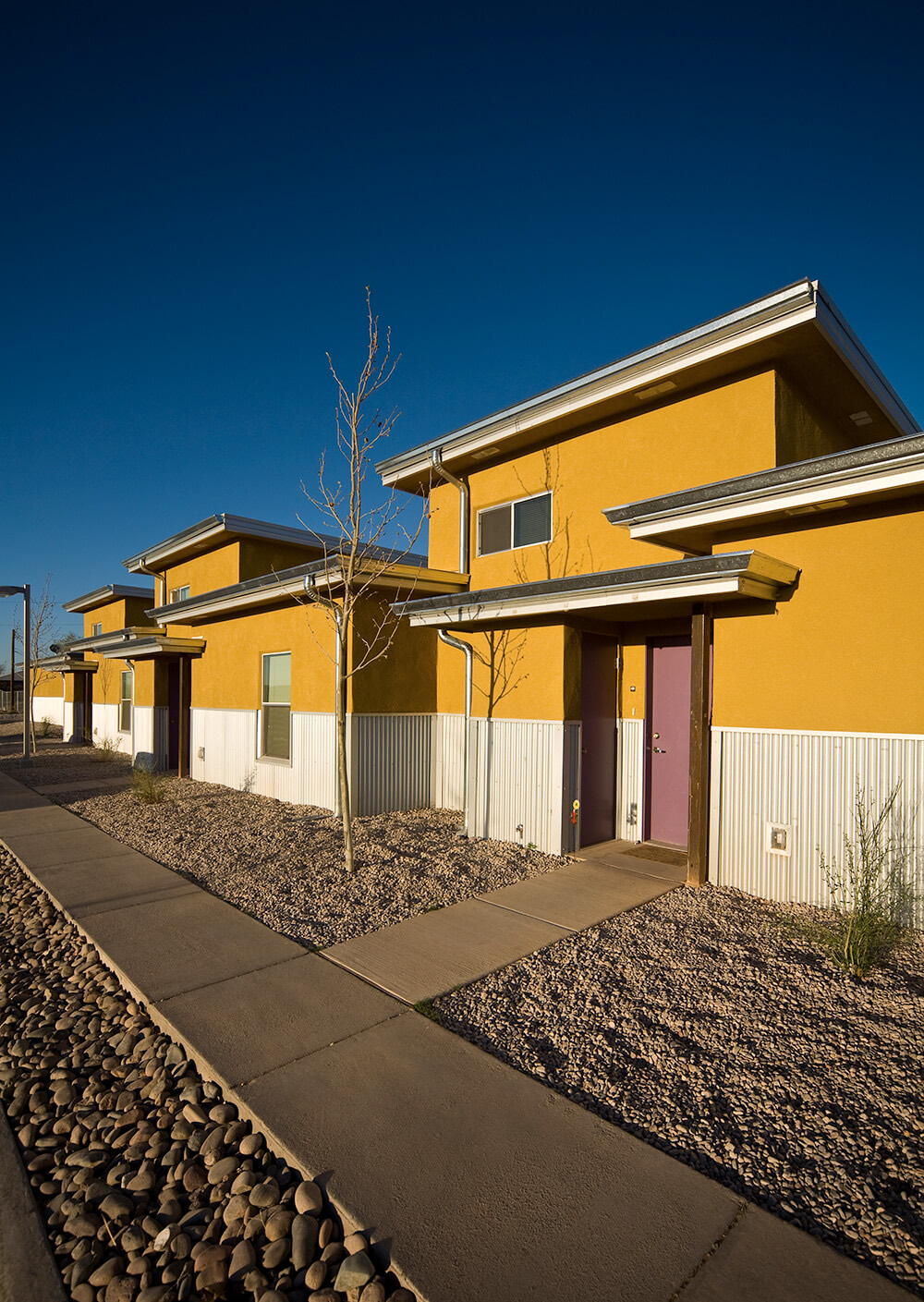 Sunlit walkway past private front doors and young shade trees at Cottonwood Commons in Alamogordo, New Mexico